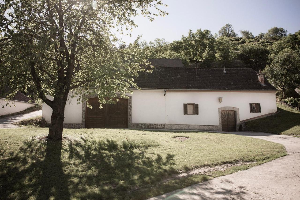Am Weingut Eisenbock
