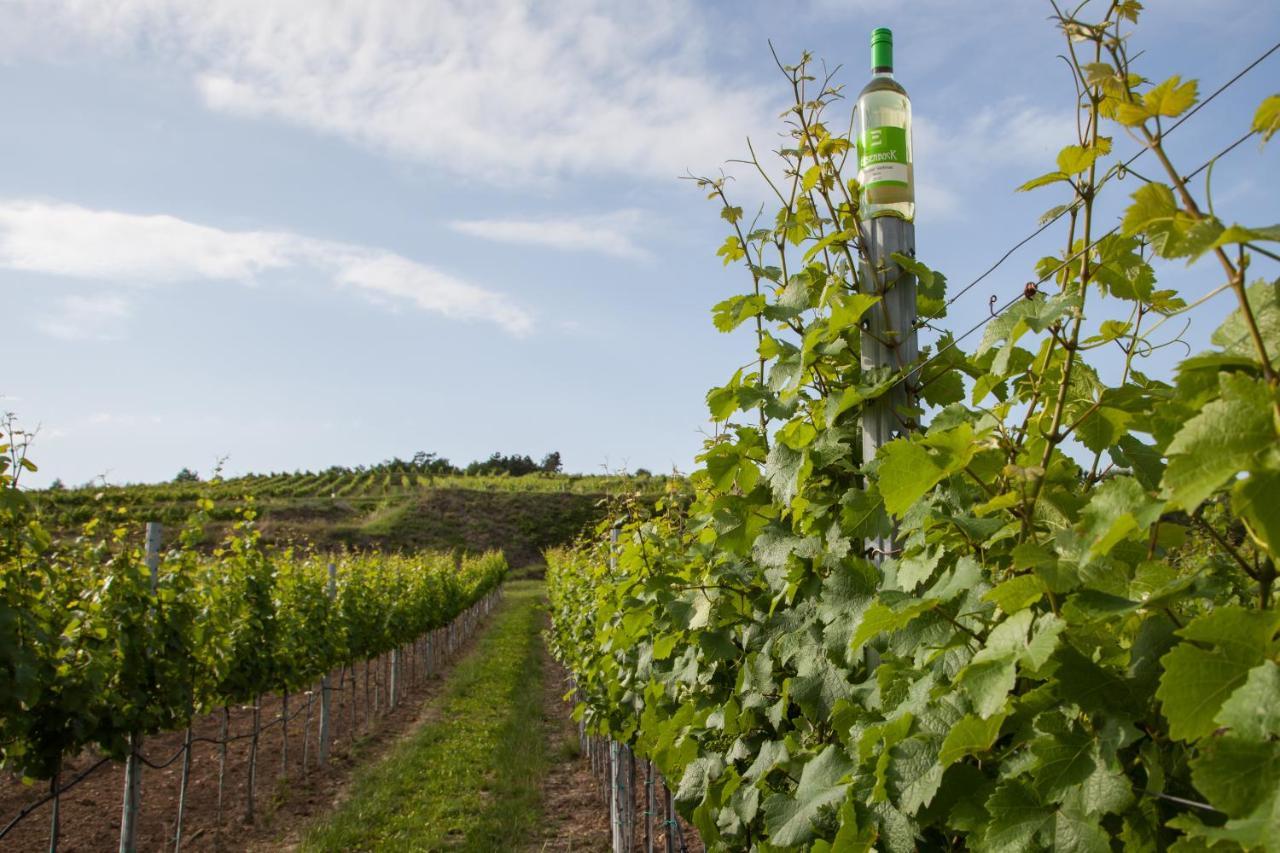 Am Weingut Eisenbock Apartment Strass (Waldviertel)